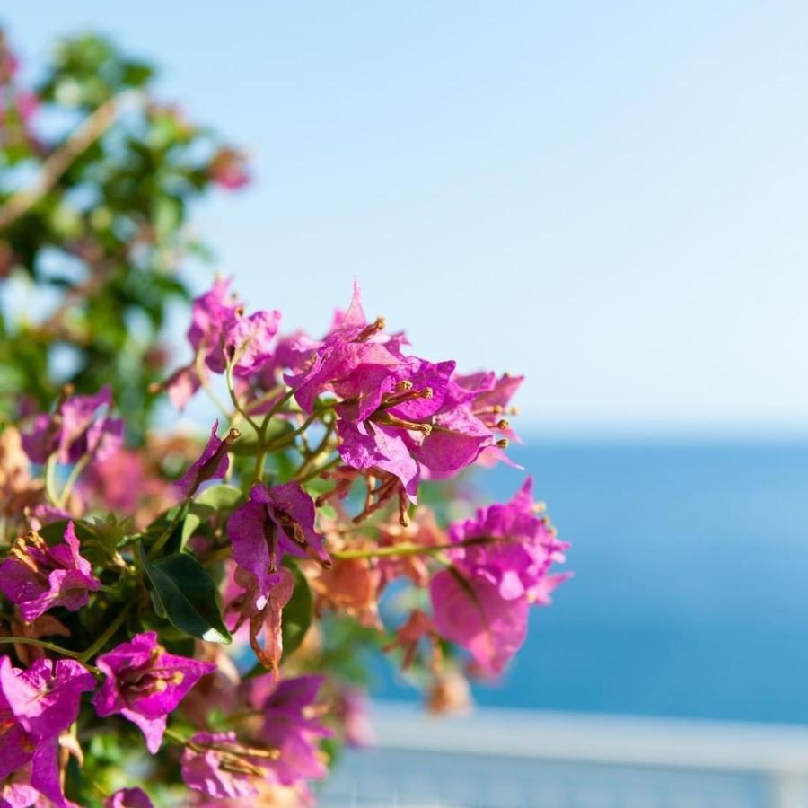 Bed and Breakfast Made In Sicily Santa Tecla Ачиреале Екстер'єр фото